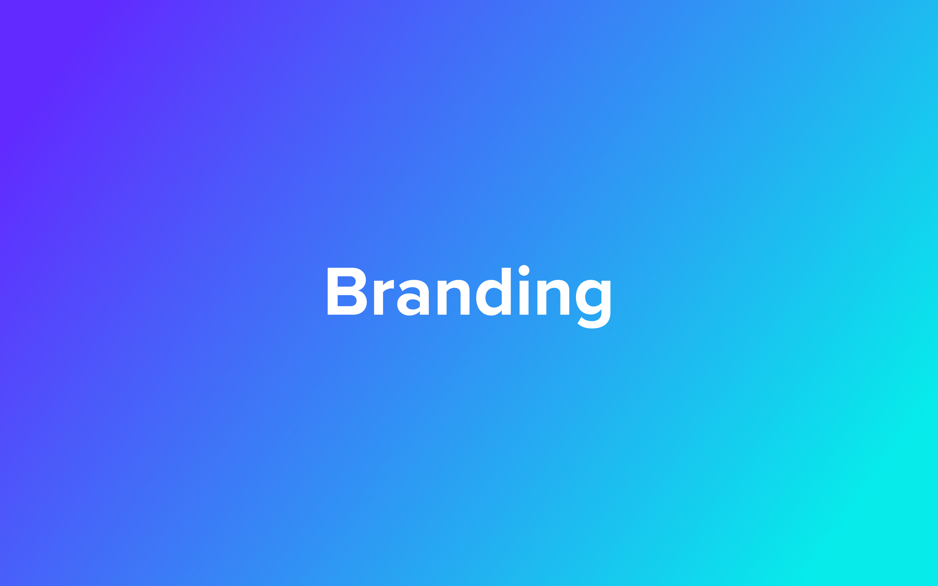 Optiopay branding overview